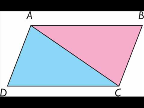 Definicion del paralelogramo