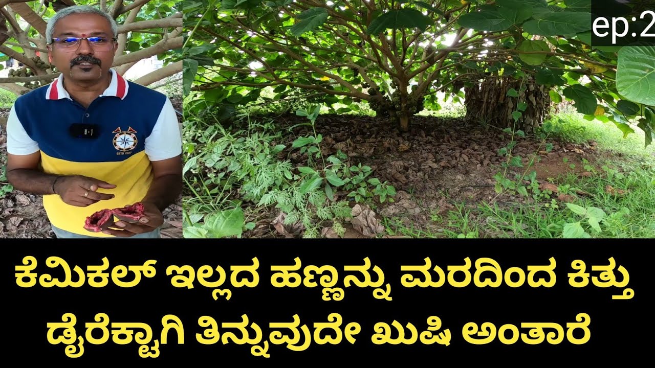 ಒಂದು ತೋಟ ನಿರ್ಮಾಣ ಮಾಡುವ ಮಧ್ಯದಲ್ಲಿ ಸುಮಾರು ಏಳು ಬೀಳುಗಳು ಇರುತ್ತದೆ..ಅಷ್ಟಕ್ಕೆ ತಲೆ ಮೇಲೆ ಕೈ ಎತ್ತು ಕುಂತರೆ ಒಂದು