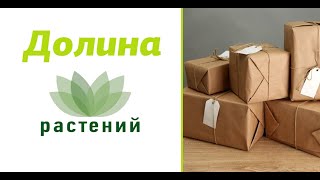 📦Распаковка посылки: саженцы, луковицы растений (тюльпаны, лилии, гладиолусы).