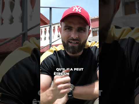 Et si on laissait les petits chiens être heureux ? 😤