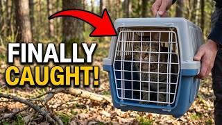WE DIDN'T GIVE UP! After 1 YEAR... FOREST CAT Finally CAUGHT!