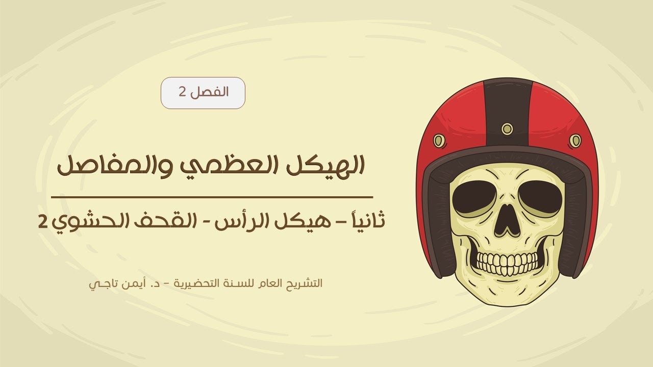 القحف الحشوي | الجزء الثاني | التشريح العام للسنة التحضيرية