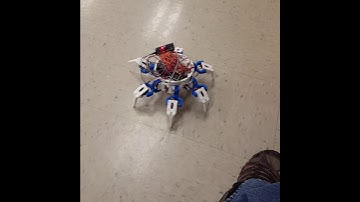 Vorpal the Hexapod