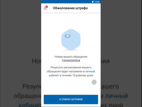 Суперсервис по обжалованию штрафов