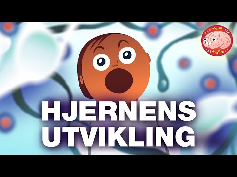 Video: Hvilke Nettsteder Kan Barn Kommunisere På