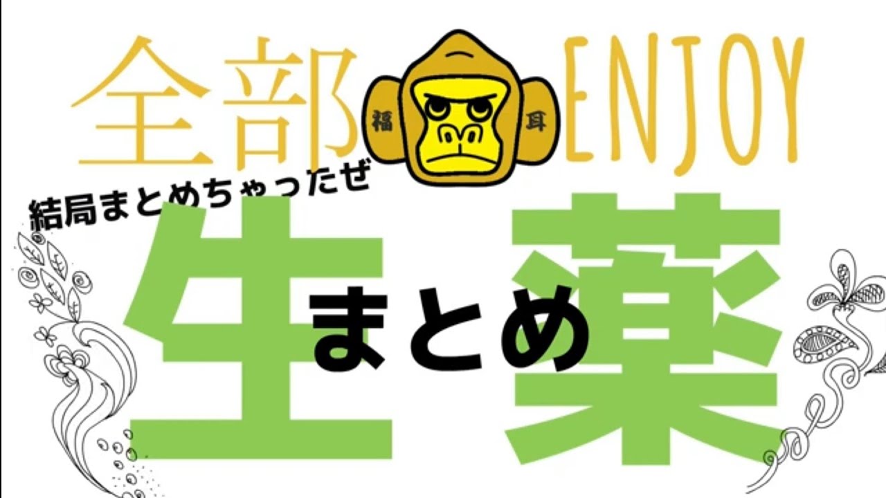 ENJOY生薬まとめ～打倒！登録販売者生薬～