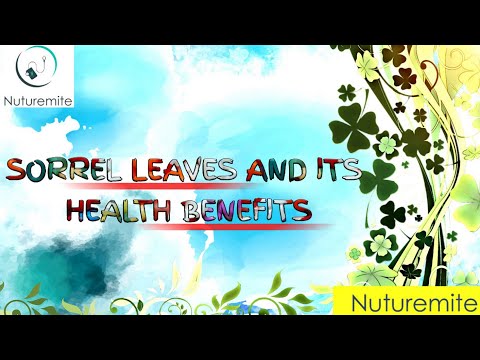 Video: Sorrel - Properties, Benefits, Calorie Content, Nutritional Value, Vitamins