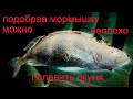 подобрав мормышку можно неплохо половить окуня