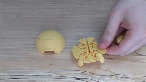 3d Printed Turtle