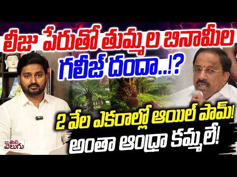 లీజు పేరుతో తుమ్మల బినామీల గలీజ్ దందా..!?? Scam In Oil Farm Lease | Tummala Nageshwar Rao