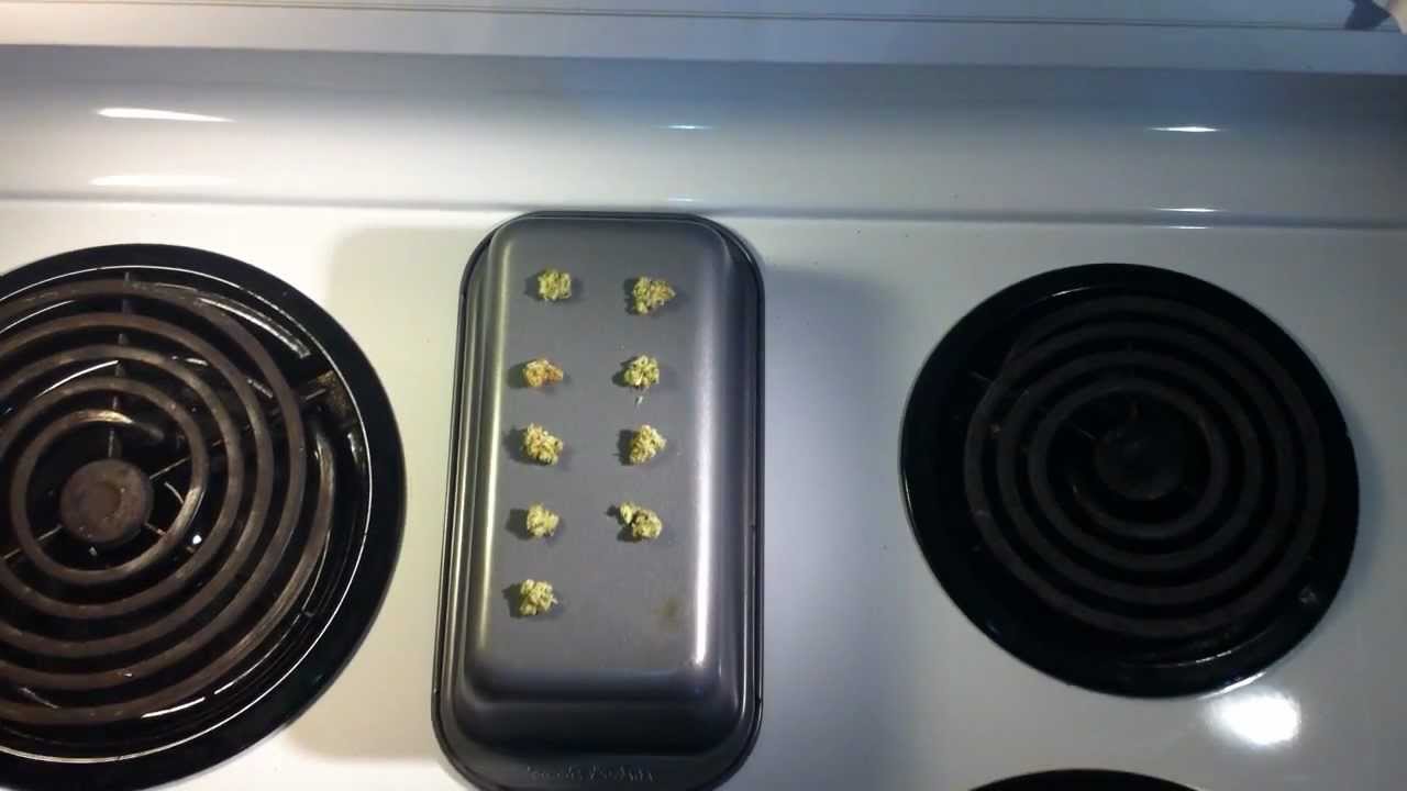 KUSH QUEBEC #8 TASTING THE GRAPEFRUIT WEED