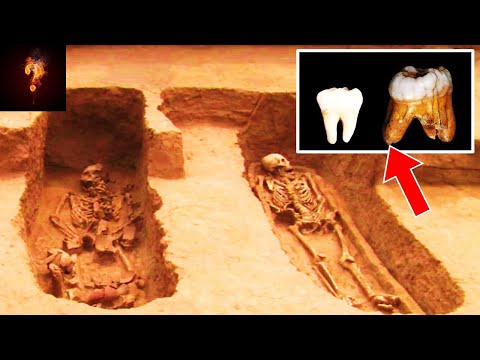 Video: Mammoths: The Main Mysteries Of The Ancient Giants - Alternative View