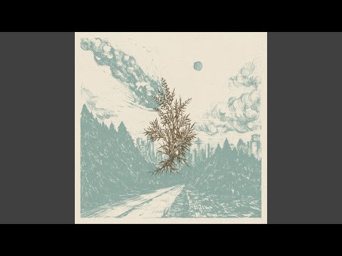 Staghorn — Enoch