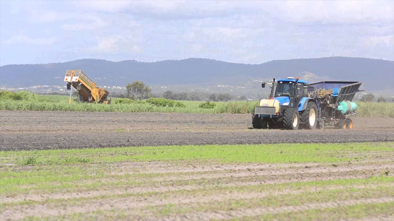 8 Cabbage Tree Point Road Steiglitz 4207 QLD YouTube