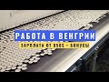 Работа в Венгрии на фабрике декоративных свечей! Обзор от клиента