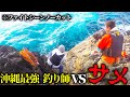 沖合150mで食ってきたサメと冷静沈着最強釣り師との貴重なファイトシーン【沖縄１熱い磯で大物狙い！#5】