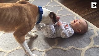 Watch 9-Month-Old Erupt In Uncontrollable Giggles When Puppy Tickles Him