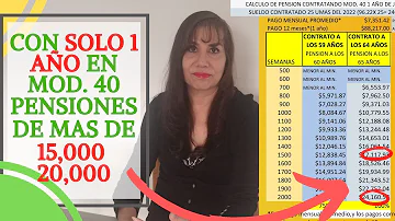 ¿Cuánto es un año 20k al mes?