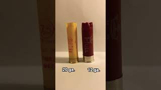 12 VS 20 GAUGE shotgun shell ! #hull #shorts #shotgun #shooting #outdoors #12gauge #vs #20gauge