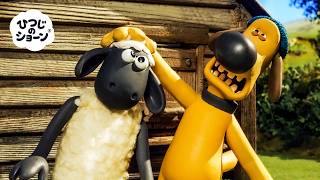 たいへん！🤭 また たいへんなことに なっちゃった！🐑😳🤣✨  | ひつじのショーン 公式チャンネル