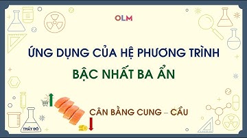 Ứng dụng HPT bậc nhất ba ẩn trong kinh tế: cân bằng cung cầu - Chuyên đề học tập lớp 10 - OLM.VN