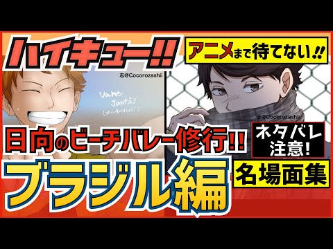 いちたか 漫画高校ハイキュー研究科ランキング部