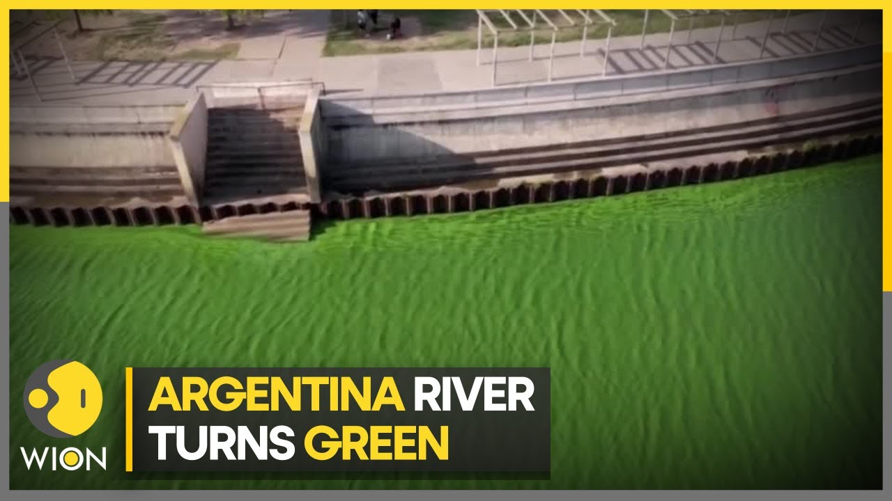 Potential toxic bacteria turns Argentina’s river plate green | WION Climate Tracker