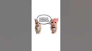 How Only F#ns works? explain with kitties