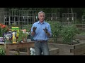 Tomato Gardening with Joe Lamp'l for Garden Therapy