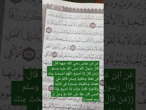 أنا لحم اكتافي من خير فلان