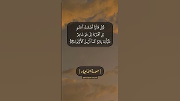 سورة الأنبياء الآية ٤ الى ٦ بصوت الشيخ محمد صديق المنشاوي