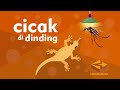 Cicak Cicak di Dinding - Lagu Anak Indonesia Populer