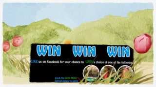 WIN a FREE Bali Hut!
