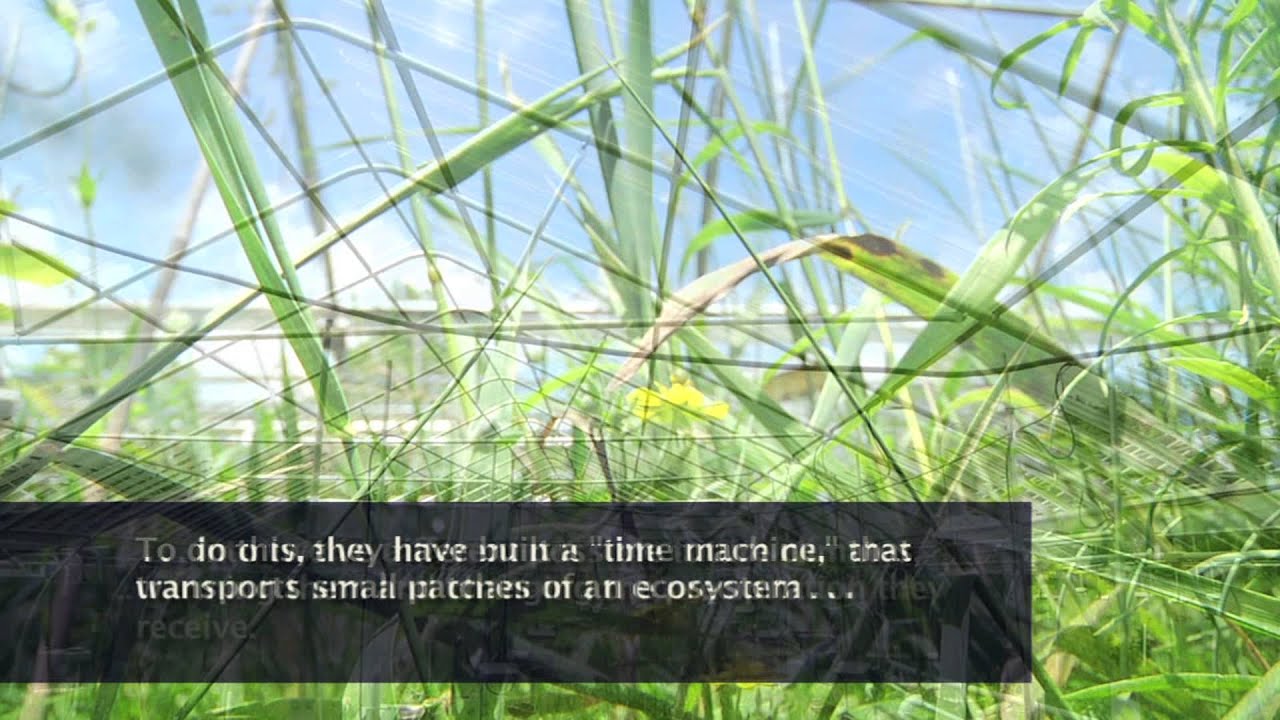 BACE: Boston-Area Climate Experiment