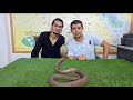 Visit The Most Dangerous Snake Farm In Egypt 
