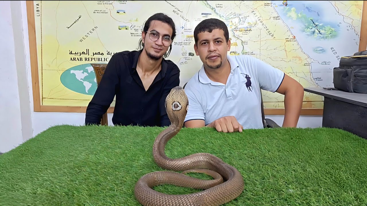 زيارة لأخطر مزرعة ثعابين في مصر