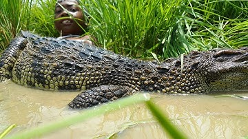 Primitive Technology: Simple DIY Crocodile Trap Using Real hand That Work 100%