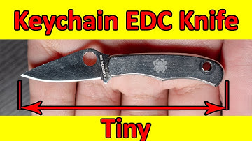 Spyderco Bug 7 year review | Perfect EDC Keychain Knife