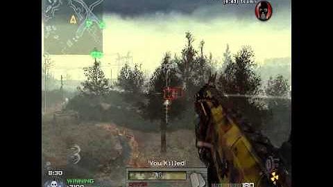 [MW2]Aimbot + bot mod