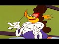 Woody Is The Queen Woody Woodpecker 1 Hour Compilation 
