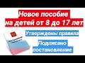 Новое пособие на детей от 8 до 17 лет. Утверждены правила. Постановление подписано. Все условия