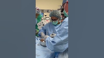 Watch kidney from living organ donor make its way to its recipient | Ohio State Medical Center