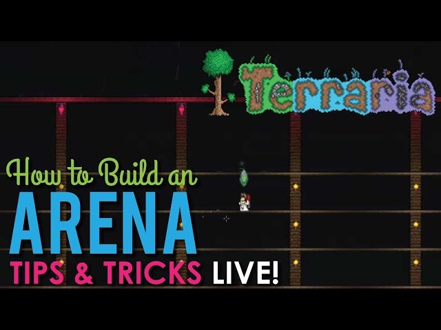 How to Build an Arena for Boss Fights in Terraria - LIVE! 