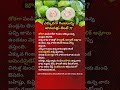 What Happens | If You Eat Guava with Too Many Seeds