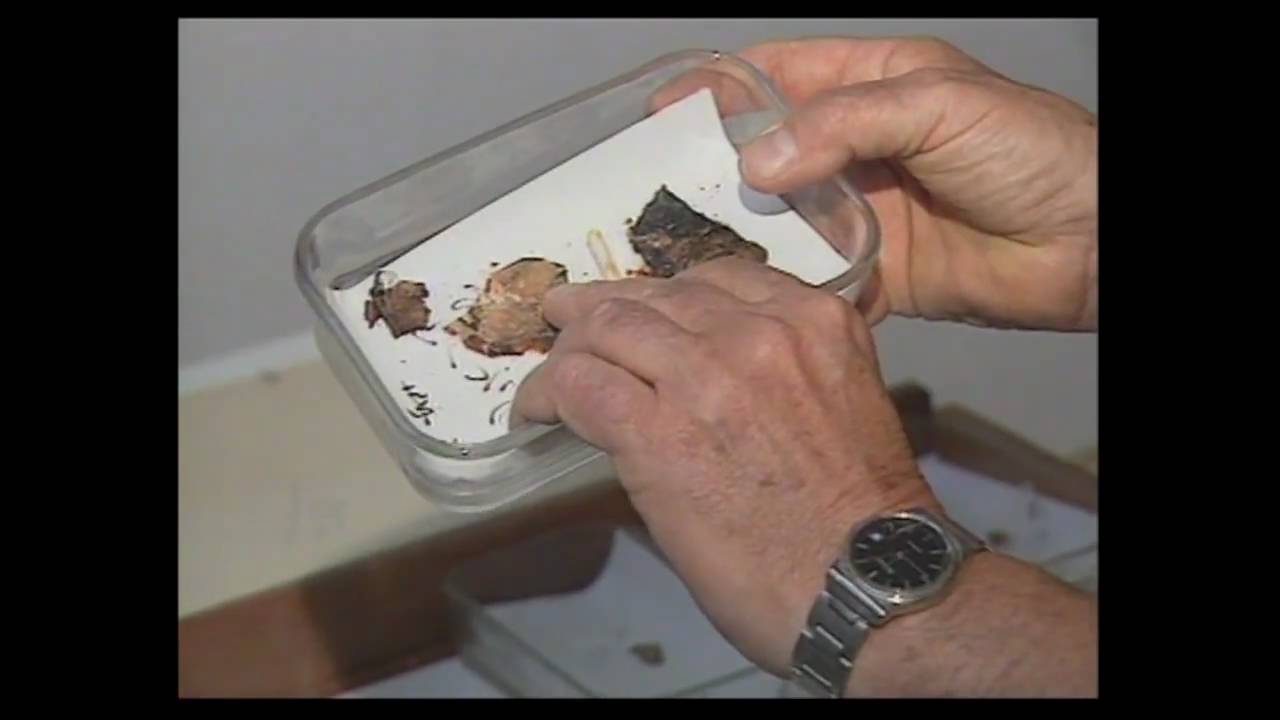 BIBELFUNDE AM TOTEN MEER - QUMRANROLLEN 5/6