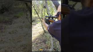 Iof .22 Rifle Fire And Sound With Subsonic Ammo Eley Sport