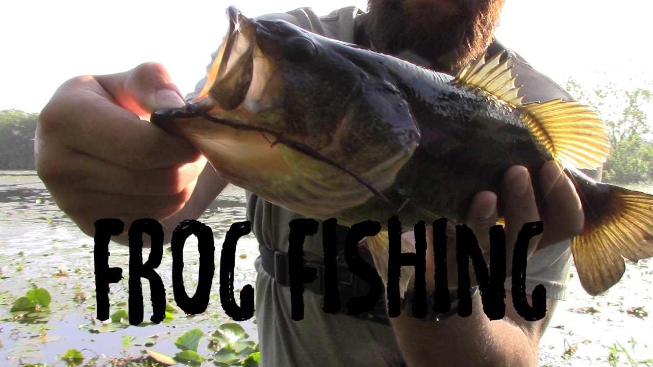 Topwater Frog Fishing YouTube