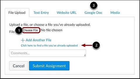 Uploading Files in Canvas