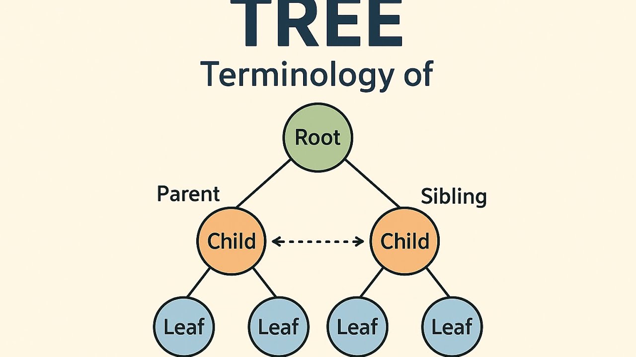 Terminology of Tree in Data Structure - YouTube