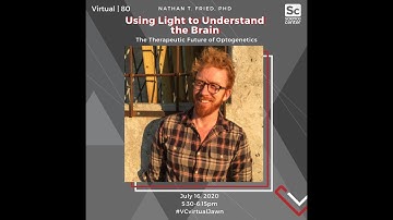 Using Light to Understand the Brain: The Future of Optogenetics